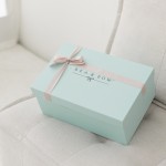 Bamboo Swaddle - Winter Wonders